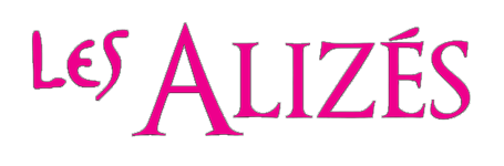 Les alizés : Bar - Hôtel - Restaurant
