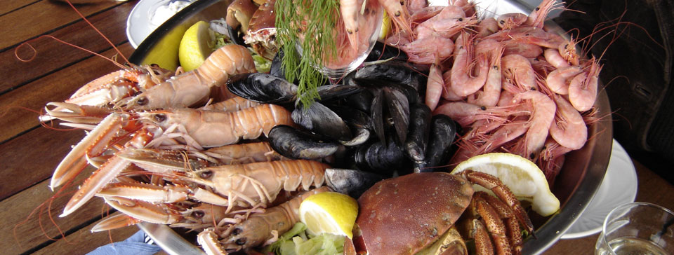 Spécialité : nos plats et plateaux de fruits de mer